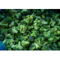 IQF Frozen Vegetable Food Broccolis